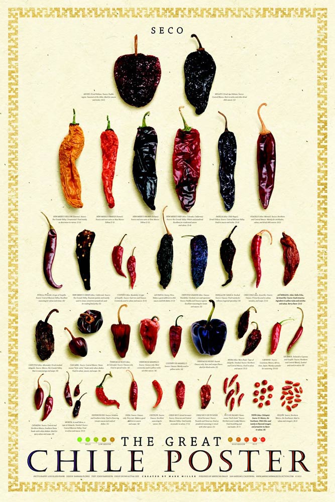 Dried Chile - Chile Secco Poster