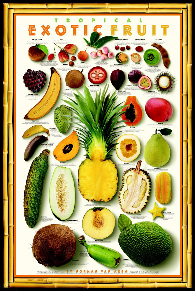Exotic Tropical Fruit Poster