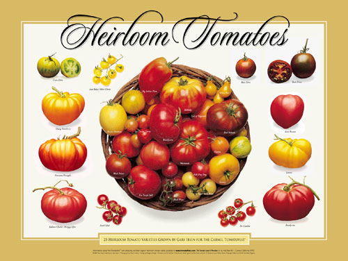 Heirloom Tomatoes Poster