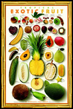 Exotic Tropical Fruit Poster